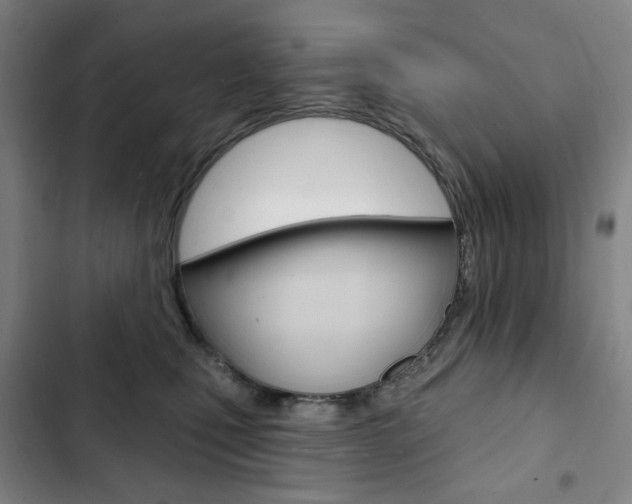 X0000103320471200809051003