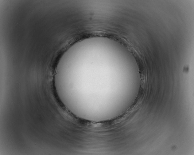X0000103320472200809051003