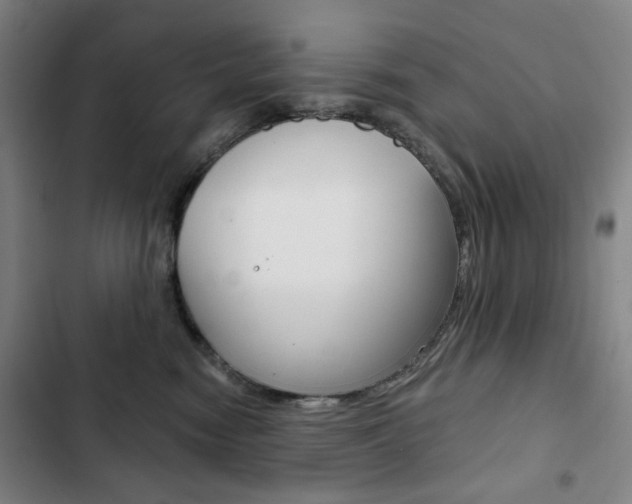X0000103320474200809051003