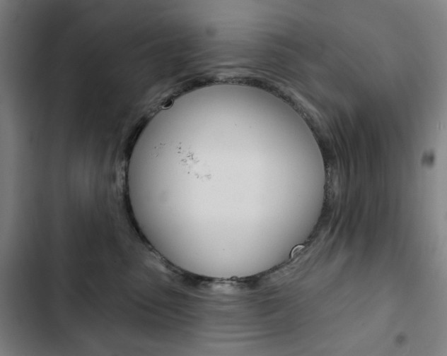 X0000103320475200809051003