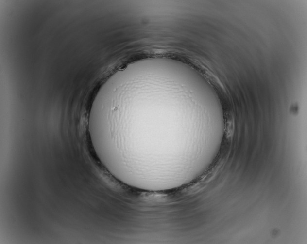 X0000103320476200809051003