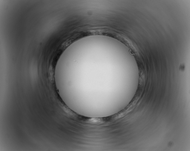 X0000103320477200809051003