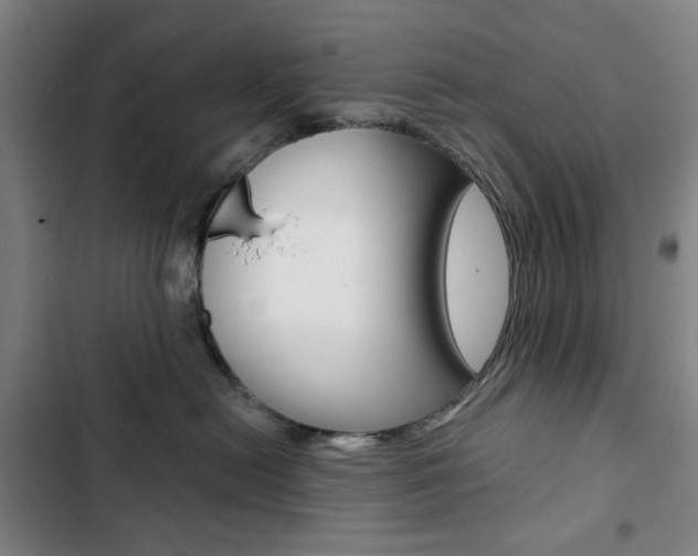 X0000103320478200809051003