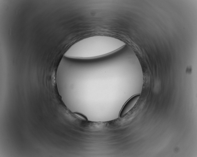 X0000103320479200809051003