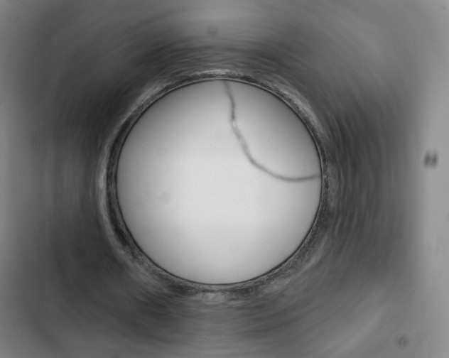 X0000103320482200809051002