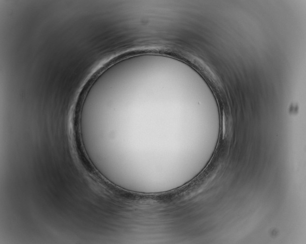 X0000103320483200809051002