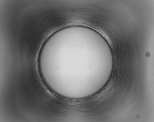 X0000103320485200809051002