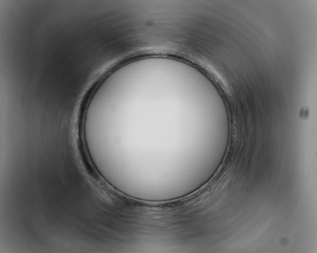 X0000103320486200809051002