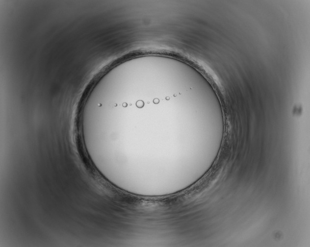 X0000103320487200809051002