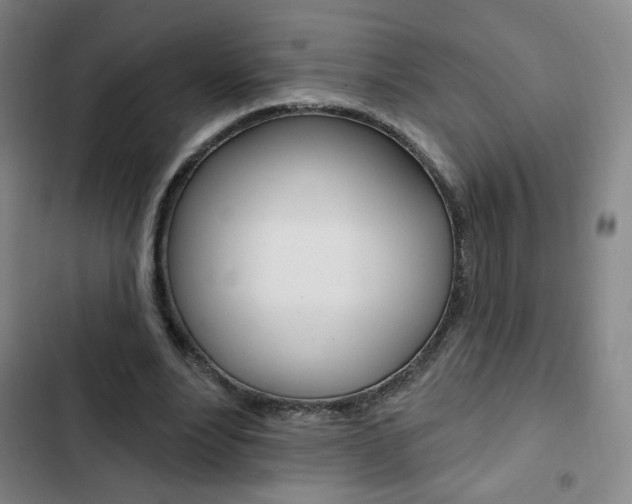 X0000103320488200809051002