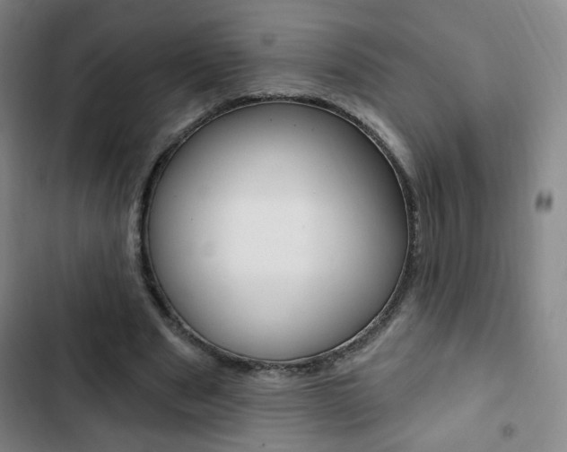 X0000103320489200809051002