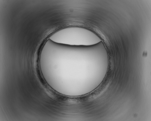 X0000103320490200809051002