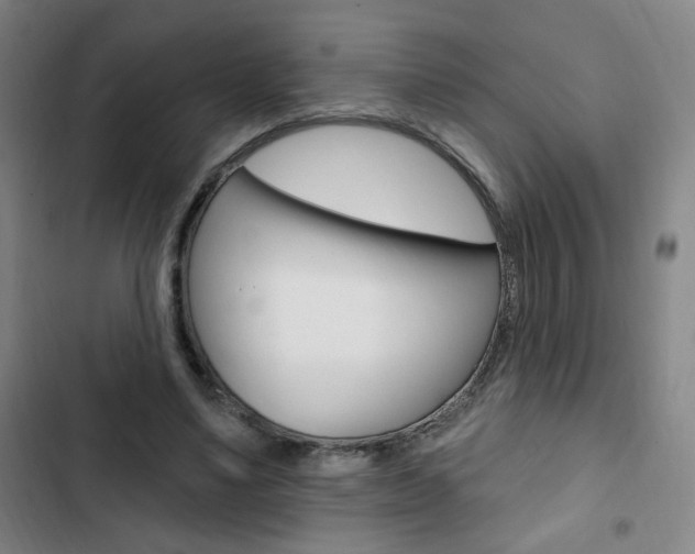 X0000103320491200809051002