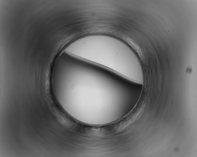X0000103320493200809051002