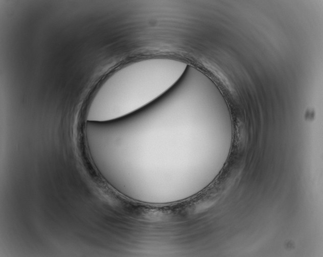 X0000103320494200809051002