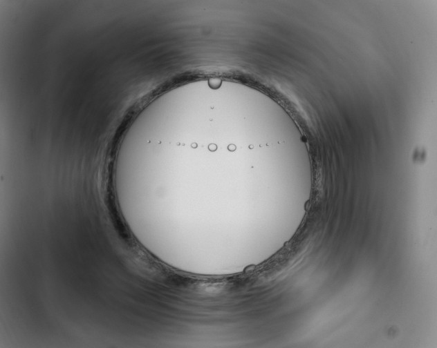 X0000103320495200809051002