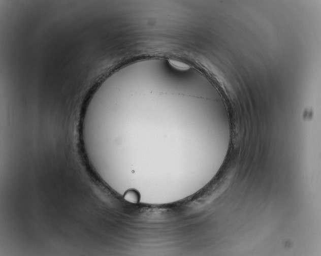 X0000103320497200809051002