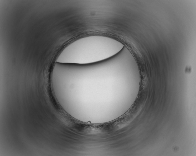 X0000103320498200809051002