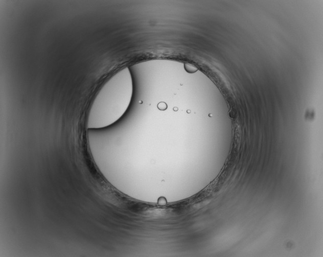 X0000103320499200809051002