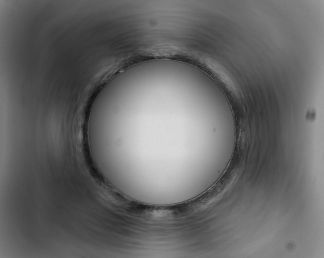 X0000103320501200809051002