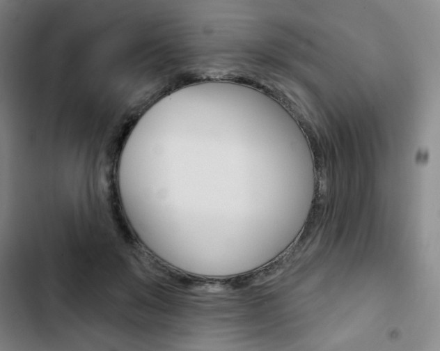 X0000103320503200809051002