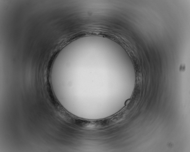 X0000103320504200809051002