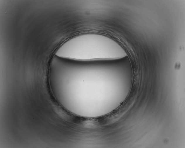 X0000103320505200809051002