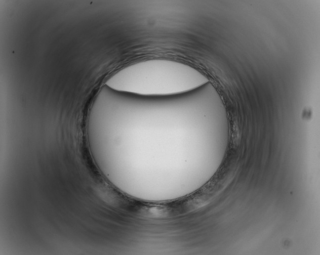 X0000103320506200809051002