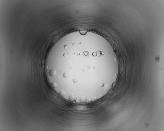 X0000103320507200809051002