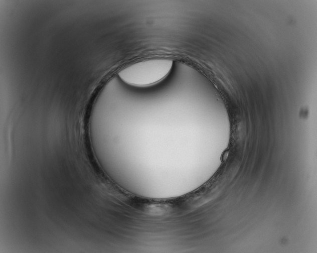 X0000103320508200809051002