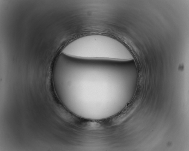 X0000103320509200809051002