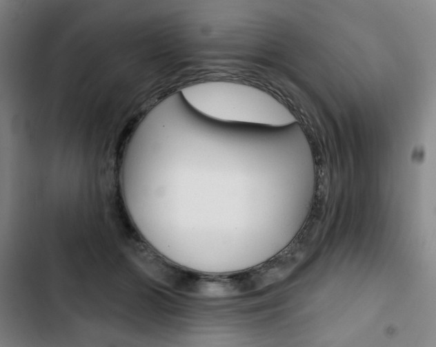 X0000103320510200809051002