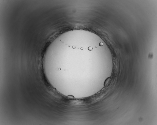 X0000103320511200809051002