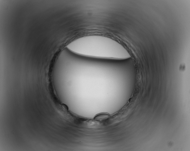 X0000103320512200809051002
