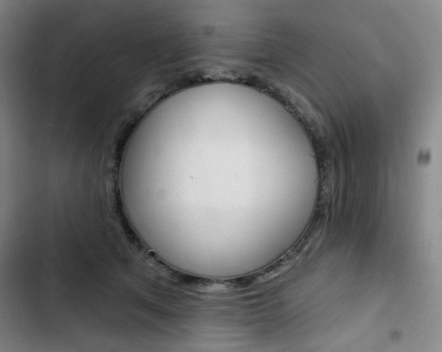 X0000103320513200809051002