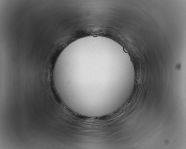 X0000103320515200809051002