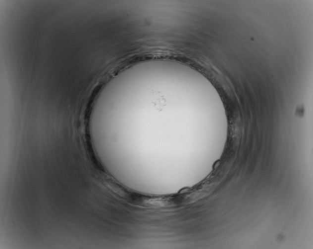 X0000103320516200809051002