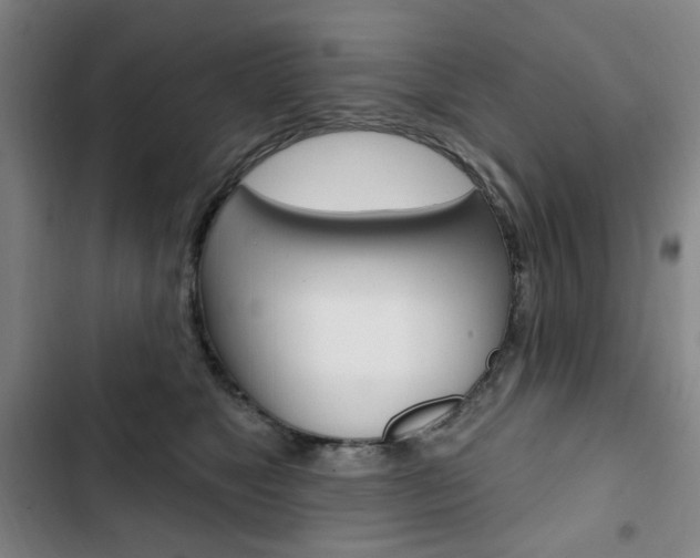 X0000103320517200809051002