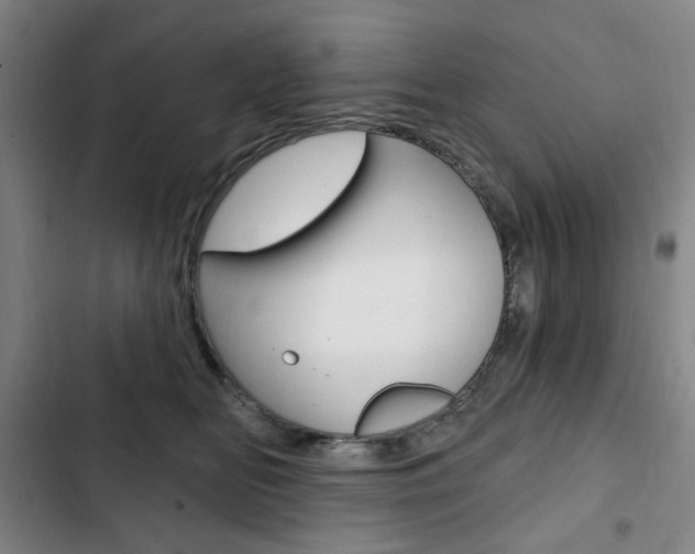X0000103320518200809051002