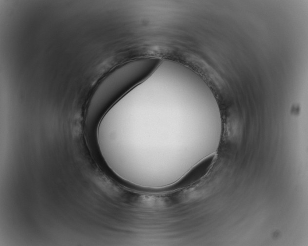 X0000103320520200809051002