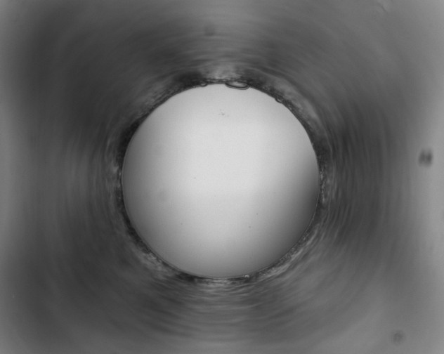 X0000103320521200809051002