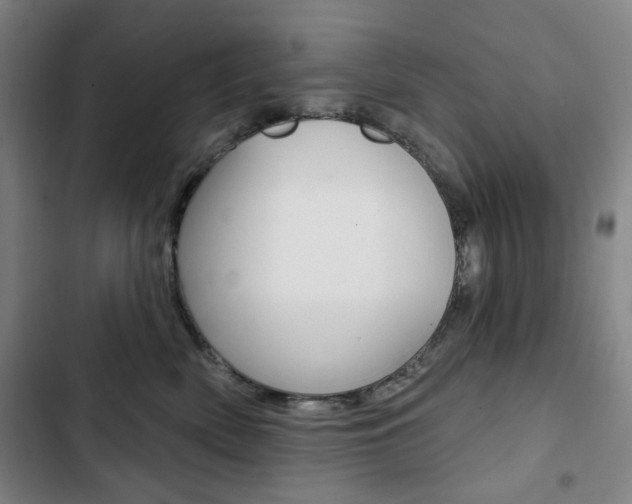 X0000103320522200809051002