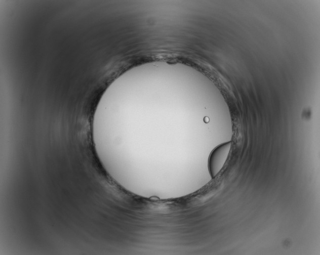 X0000103320523200809051002