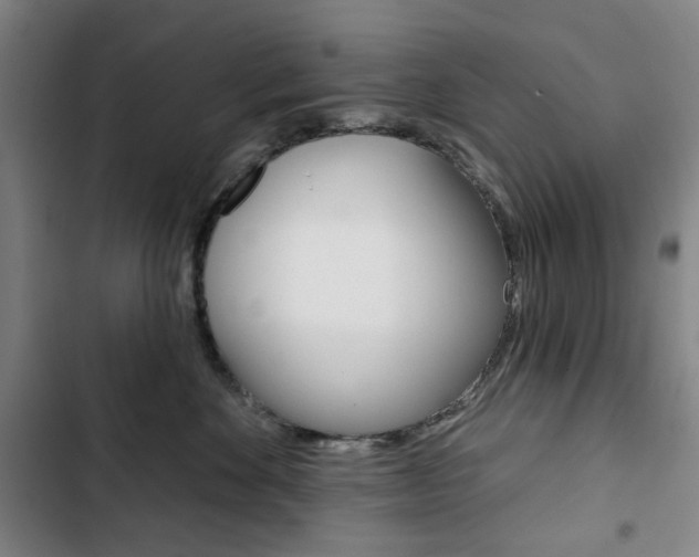 X0000103320524200809051002
