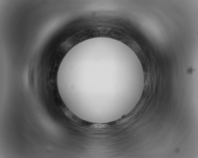X0000103320526200809051002