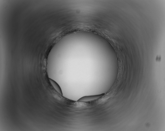 X0000103320528200809051002