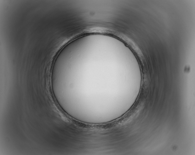 X0000103320529200809051001