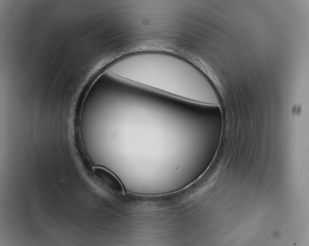 X0000103320530200809051001
