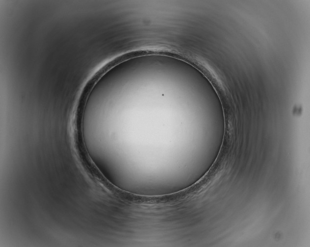 X0000103320532200809051001