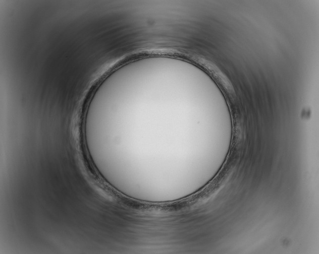 X0000103320533200809051001
